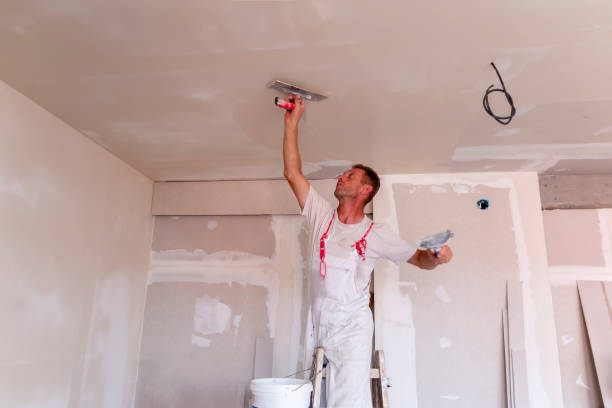 Best Wallpaper Removal and Painting  in USA